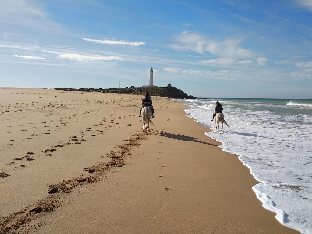 Viviendas Turisticas El Mero Zahora Luaran gambar
